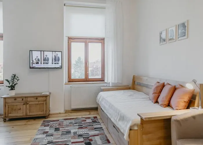 3, Suvorovova 158 Lejlighed Cesky Brod